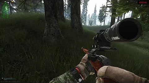 WOODS EXTRACT CAMPERS