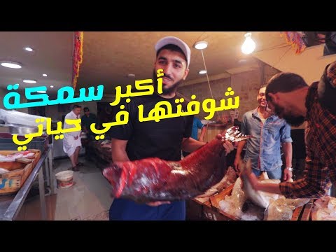 أحسن مطعم سمك في مصر فلوجر الشارع عبد الله وسيه
