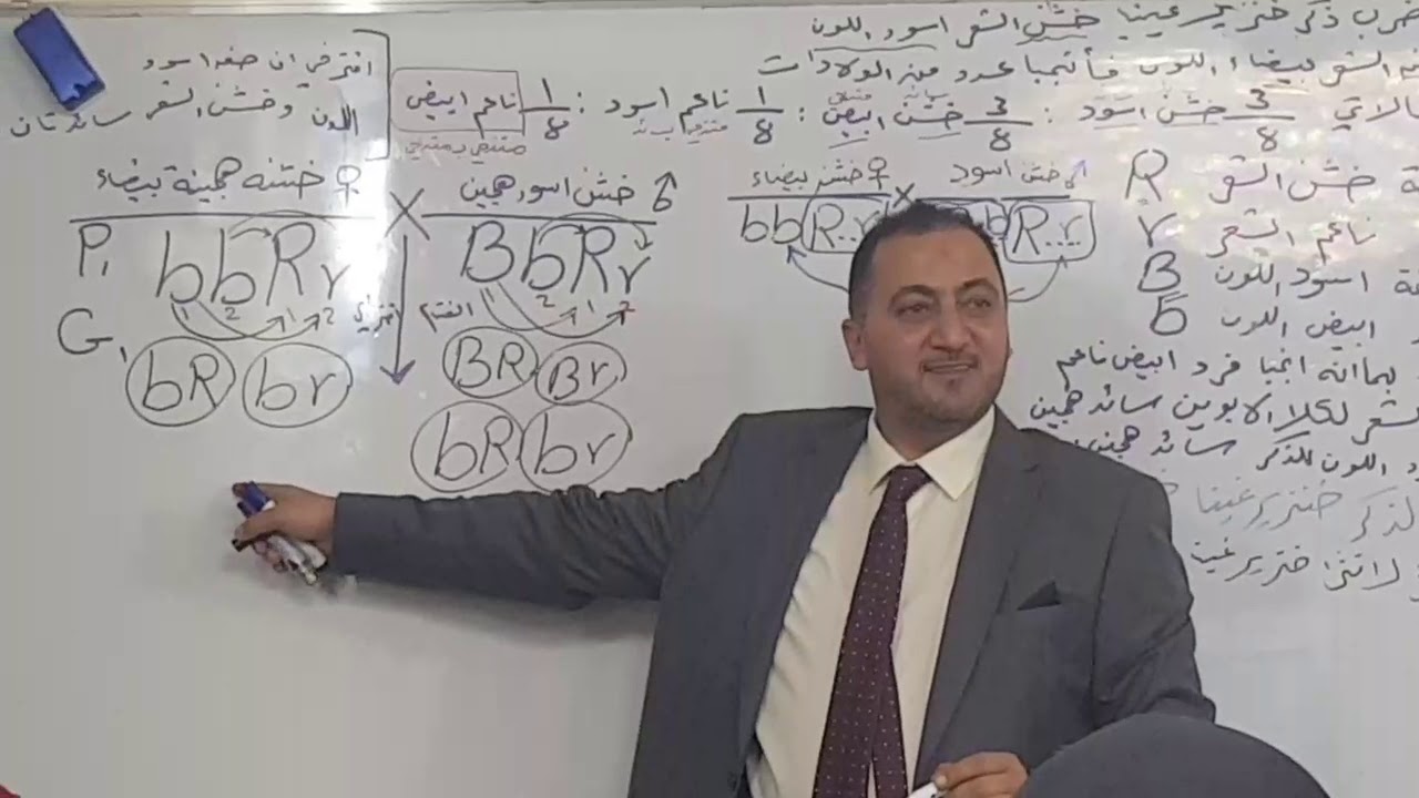 الأستاذ علاء عوينات/ الوراثه المندليه/ قانون مندل الثاني