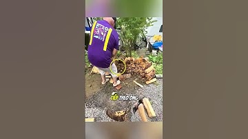 Anh chàng này đã chơi khăm ông của mình#daochieu #shorts