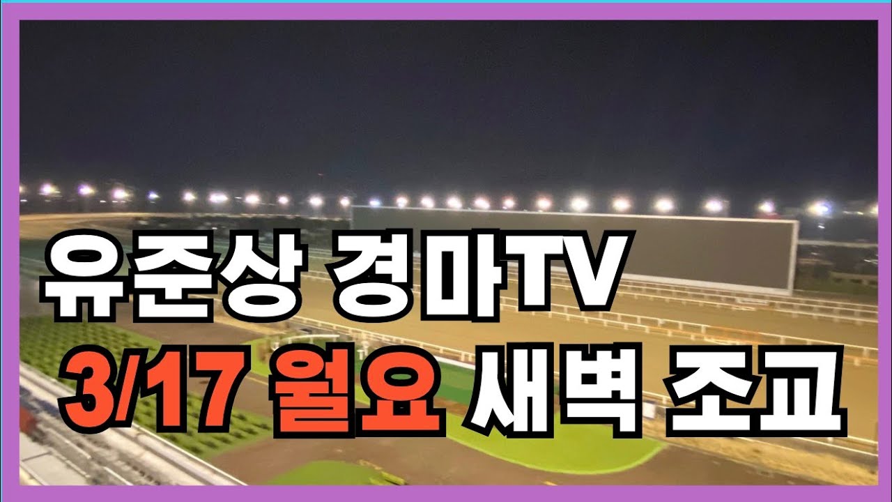유준상 조교방송 3/17 월요 새벽조교 경마 실황방송