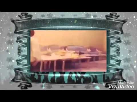 العبي خلي المعازيم تظربلك سلام