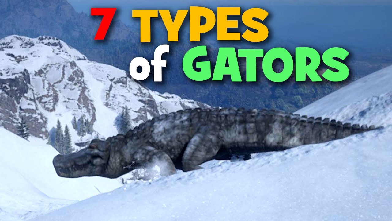 7 Types of Alligators in Red Dead Redemption 2 - YouTube