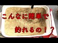 １０kg３００円の簡単集魚材を作ってその効果を検証！