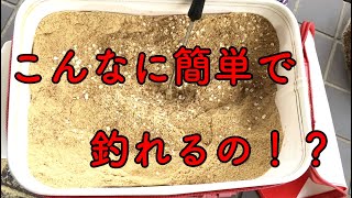 １０kg３００円の簡単集魚材を作ってその効果を検証！