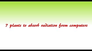 7 Plants To Absorb Radiation From Computers