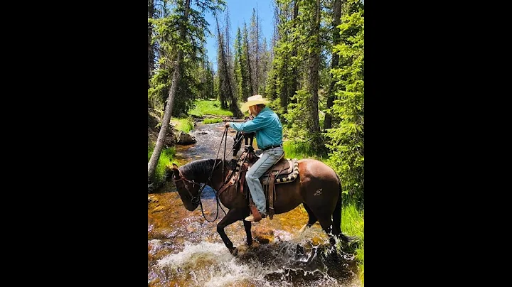 James Gault Riding Reel