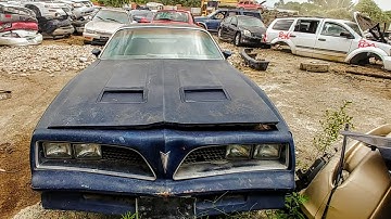 Junkyard Rescue? 1977 Pontiac Formula Firebird Sat For 30 Years