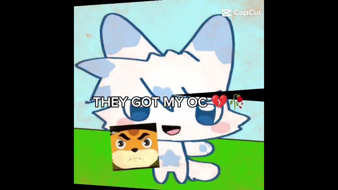 I hate when someone stole my oc 