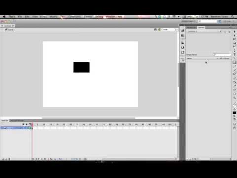 Basic Understanding of Flash Interface