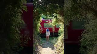 Found A Ghiblilike Path Irl aesthetic ghibli japan