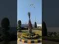 No 1 petrol pump of Pakistan | petrol pump business in Pakistan