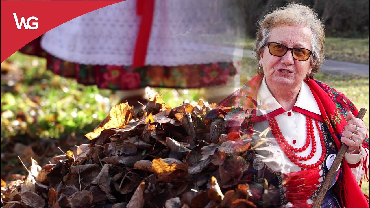 Jadwiga Hutyra - Liście