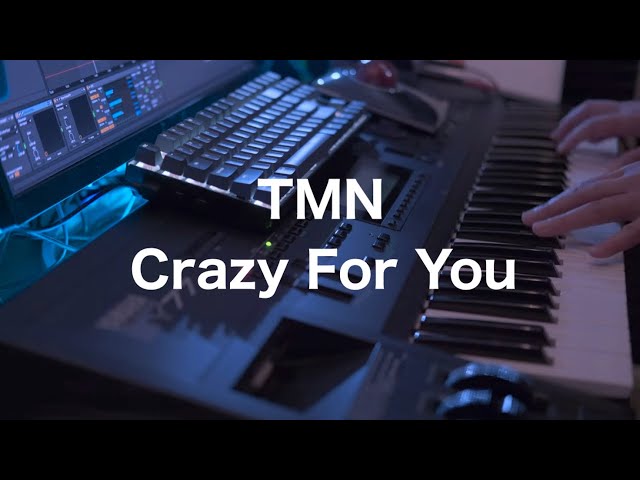 1万回再生】 TMN (TM NETWORK) - Crazy For You 1991 Keyboard Solo