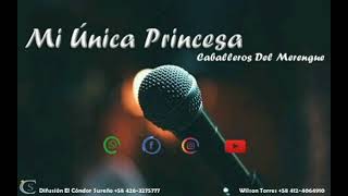 Miniatura de vídeo de "Mi Única Princesa -Los Caballeros Del Merengue"