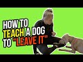 HOW TO TEACH A DOG TO "LEAVE IT"