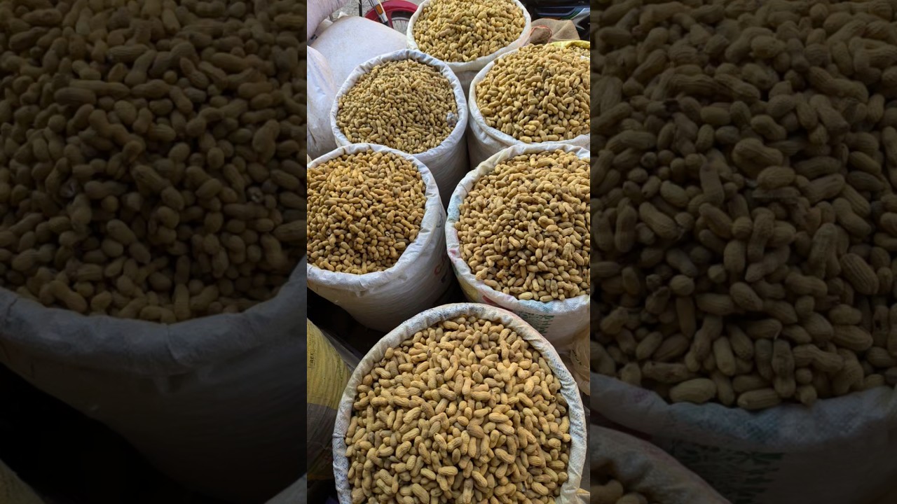 Mong Phali Peanuts Update