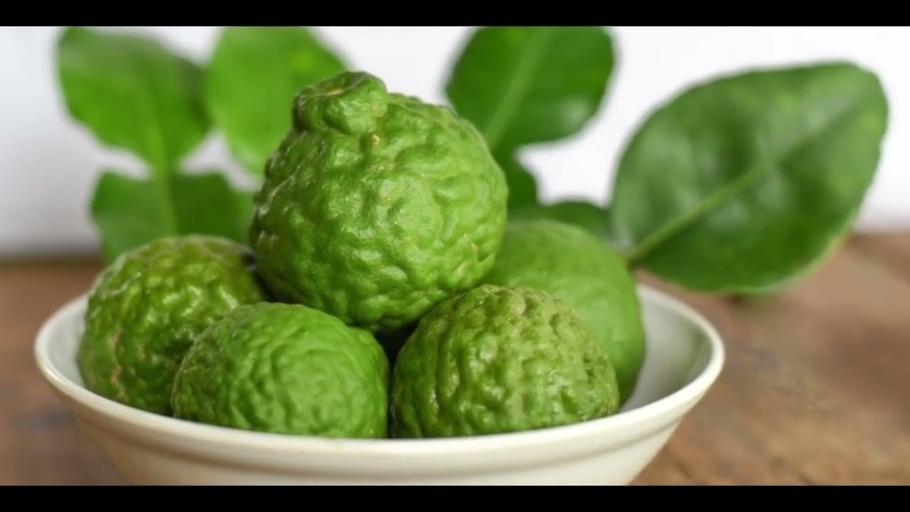 Le Combava  Son Histoire, Ses Bienfaits et Ses Risques #fruit #bienêtre #combava #santénaturelle