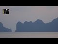 Miniature de la vidéo de la chanson Symphony No. 2 In B-Flat Major D.125: I Largo - Allegro Vivace