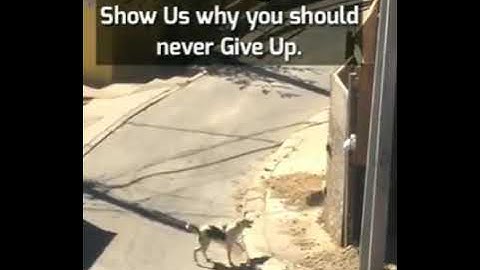 Never Give Up !!! Understand that FAIL stands for First Attempt In Learning !!