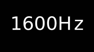 Speaker Sound Test 1600Hz
