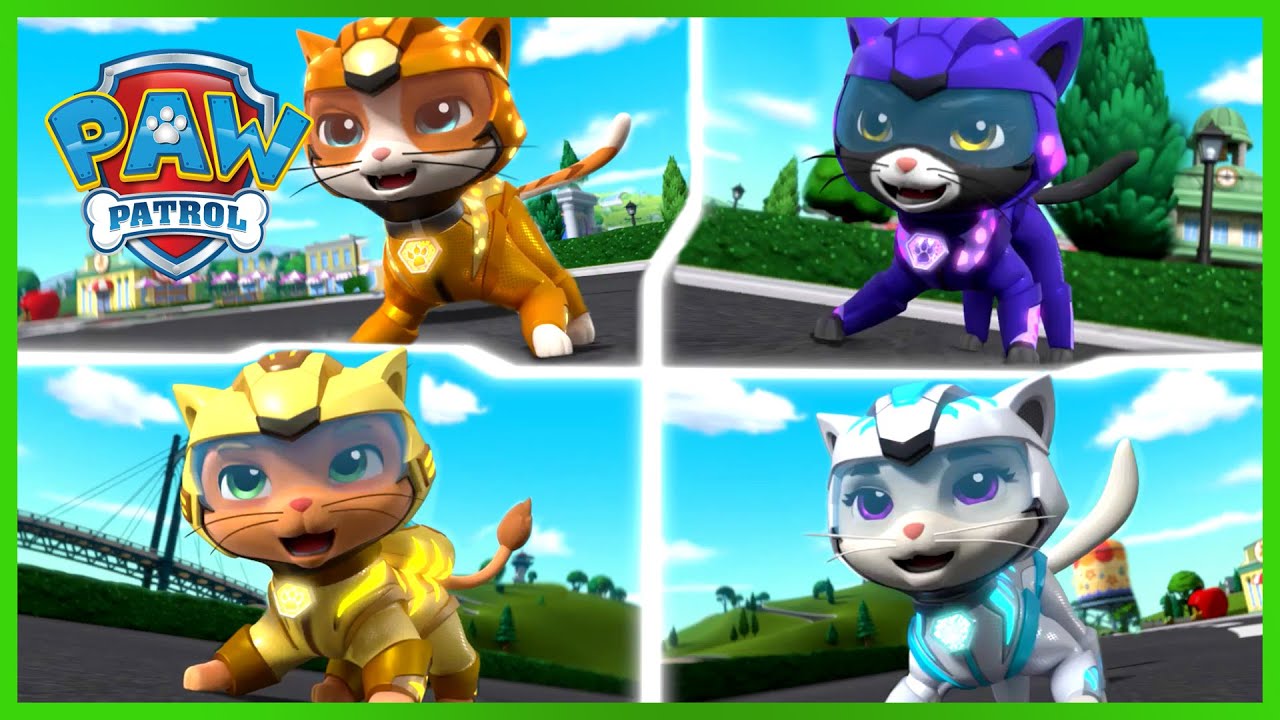 Cat Pack PAW Patrol Rescues  PAW Patrol  Cartoons for Kids Compilation