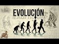 5 HECHOS | EVOLUCIÓN