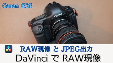 【DaVinci Resolve RAW現像入門】 Canon EOS ／ RAW現像とJPEG出力