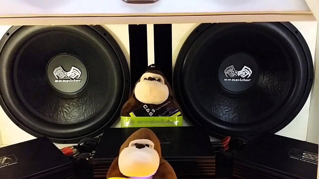 exspider woofer