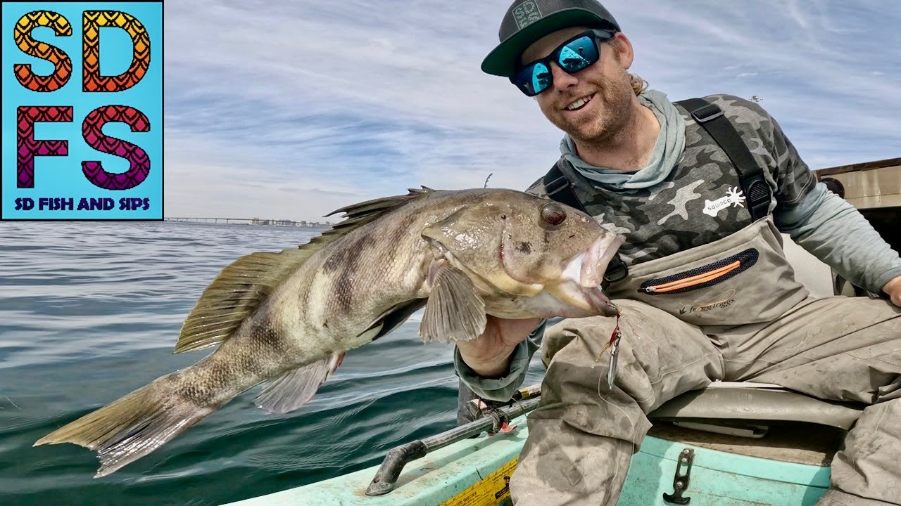 Micro Jigging Bay Bass & Halibut Heartbreak | Solo Skiff Fishing