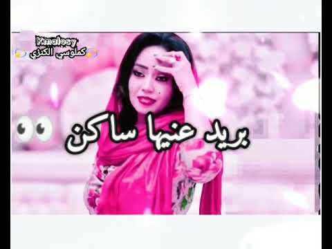 ولا شنو الحكايه بيبو ادم