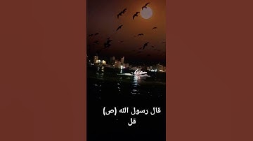 قال رسول الله (ص)#احاديث #سورة_الفلق #سورة الإخلاص #سورة الناس