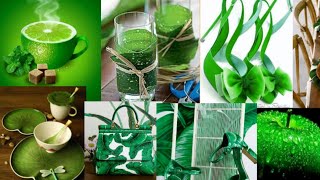 amazing green world 💚🍏🌵🍀🍃🌱🌿 whatsapp dp/ wallpapers. screenshot 1