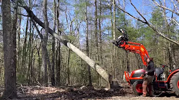 Tree cutting compilation! 50 trees in 4 minutes!