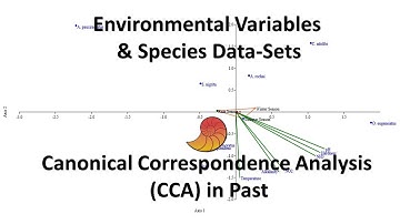 Canonical Correspondence Analysis (CCA) Past Statistical Software | Biostatistics | Statistics Bio7