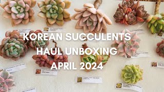 Korean Succulents Haul Unboxing April 2024
