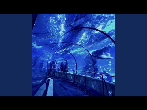 Fall In Love Again And Again X Alina Kay