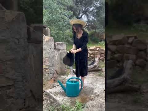 Ma Kabylie, Du Djurdjura Aux Monts Babors