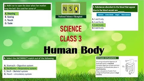 Science Olympiad class 3 - Human Body