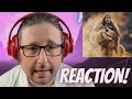 Nightwish - Perfume Of The Timeless (OFFICIAL MUSIC VIDEO), Reaction!