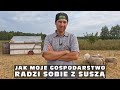 Jak moje gospodarstwo radzi sobie z suszą - u Grzegorza z gospodarstwa La Fuente