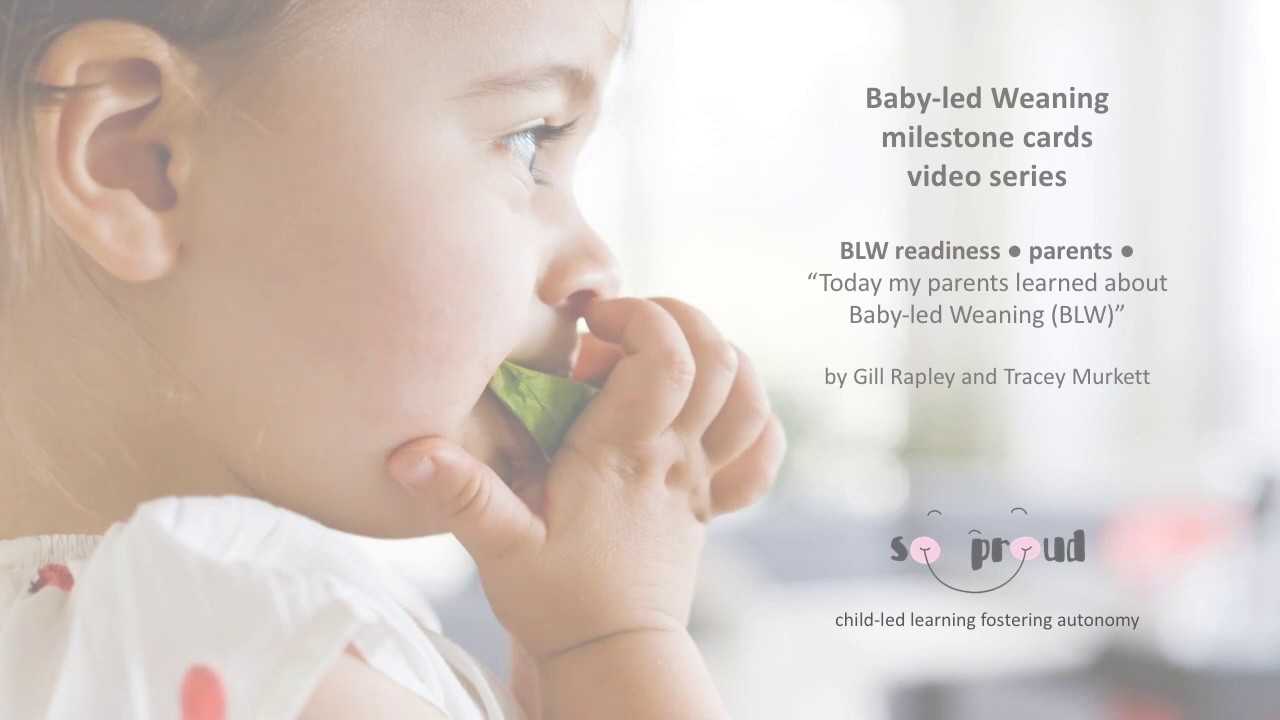 so proud - BLW milestone cards series #1 by Gill Rapley and Tracey Murkett