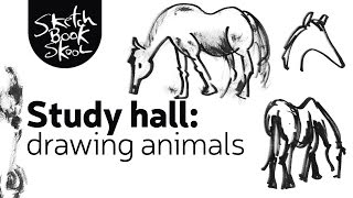 Study Hall: Drawing Animals Study Hall: Drawing Animals