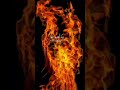 اللهم أجرنا من النار ومن عذاب النار وأدخلنا الجنة مع الأبرار 