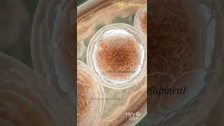IVF Treatment in India | Affordable Medical Tourism Journey | Best Fertility Options 2026