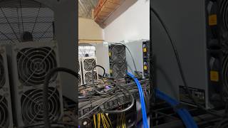 CKB Is Running Up! First Batch K7 ROI In Under A Year! #asicmining #bitmain #nervosnetwork Wealth