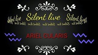 Good night Guys Silent Live