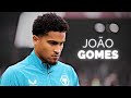 Joo gomes  half season highlights  202324