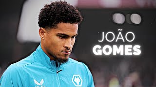 João Gomes - Half Season Highlights | 2023/24