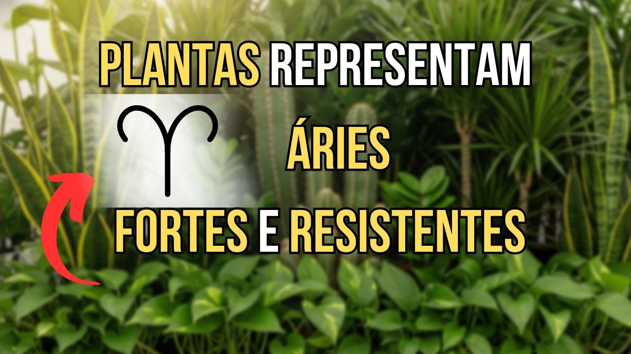 Plantas Ideais Para ÁRIES — Fortes, Resistentes E Difíceis De Matar